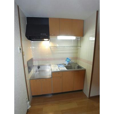 グリーンヒル伍番館 202【管理NO：1-010086301-02020】 ★家具家電は申し込み後に搬入しますの物件画像