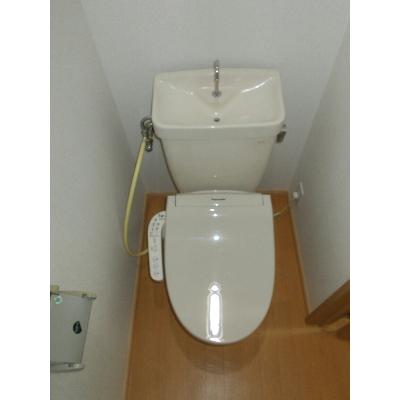 ＳＴハイツ 202【管理NO：1-003857501-02020】 ★家具家電は申し込み後に搬入します★の物件画像