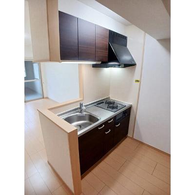Ｓｏｌ　Ｌｅｖａｎｔｅ　国府 105【管理NO：1-017243501-01050】 ★家具家電は申し込み後に搬入しますの物件画像