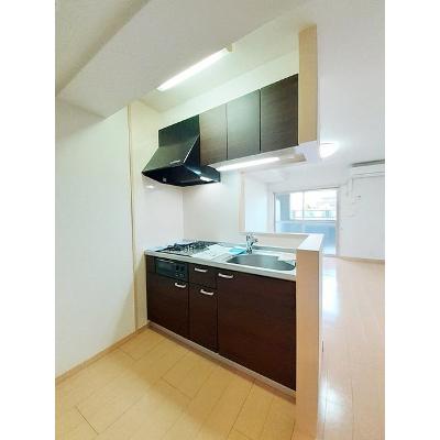 Ｓｏｌ　Ｌｅｖａｎｔｅ　国府 102【管理NO：1-017243501-01020】 ★家具家電は申し込み後に搬入しますの物件画像