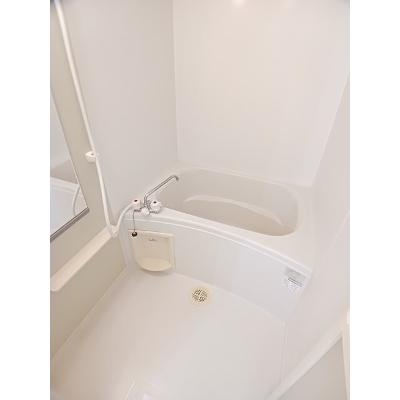 マロニエ 105【管理NO：1-013197501-01040】 ★家具家電は申し込み後に搬入しますの物件画像
