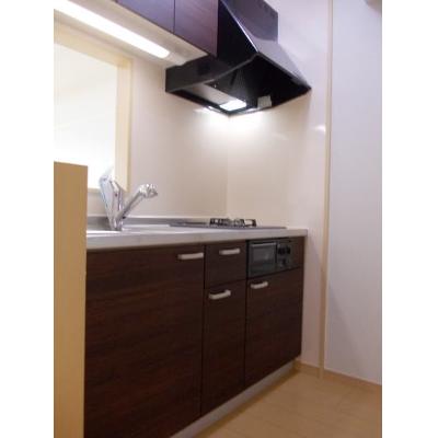 Ｓｏｌ　Ｌｅｖａｎｔｅ　国府 401【管理NO：1-017243501-04010】 ★家具家電は申し込み後に搬入しますの物件画像