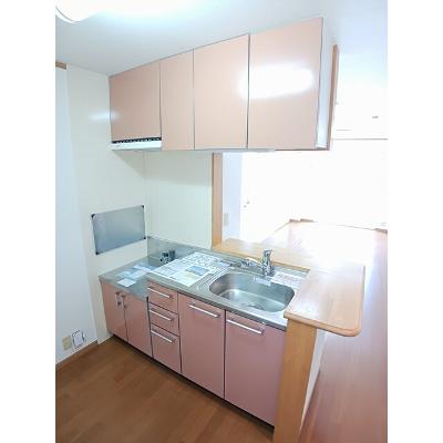エクセラン近見 103【管理NO：1-012923301-01030】 ★家具家電は申し込み後に搬入しますの物件画像