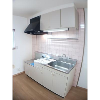 エクセレント’９５ 203【管理NO：1-005216901-02030】 ★家具家電は申し込み後に搬入します★の物件画像
