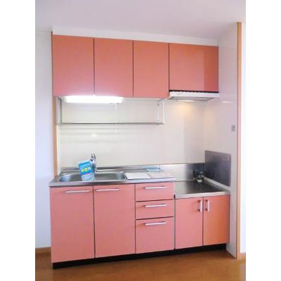 メゾングレイスＢ 202【管理NO：1-013441002-02020】 ★家具家電は申し込み後に搬入しますの物件画像