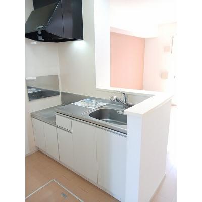 ラッフィナート 102【管理NO：1-018969401-01020】 ★家具家電は申し込み後に搬入します★の物件画像