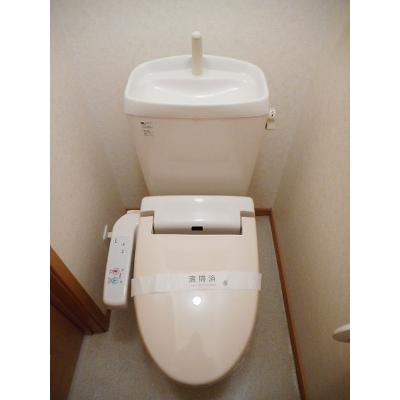 ＰｉｎｅＴｒｅｅＢ 103【管理NO：1-013662402-01030】 ★家具家電は申し込み後に搬入しますの物件画像
