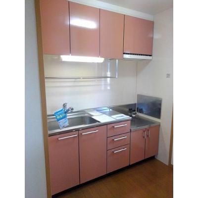 ＰｉｎｅＴｒｅｅＡ 202【管理NO：1-013662401-02020】 ★家具家電は申し込み後に搬入しますの物件画像