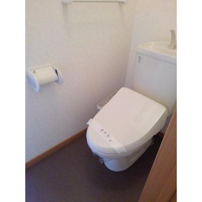 ＰｉｎｅＴｒｅｅＡ 202【管理NO：1-013662401-02020】 ★家具家電は申し込み後に搬入しますの物件画像