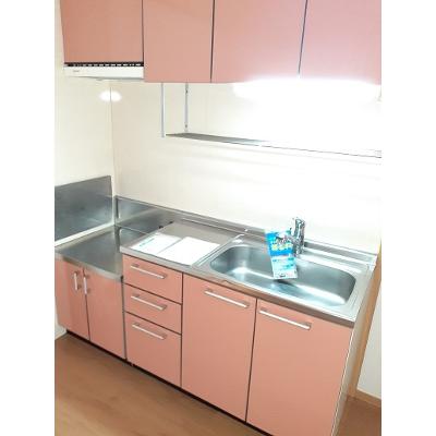 サニ－・ヒルズＤ 102【管理NO：1-013105304-01020】 ★家具家電は申し込み後に搬入しますの物件画像