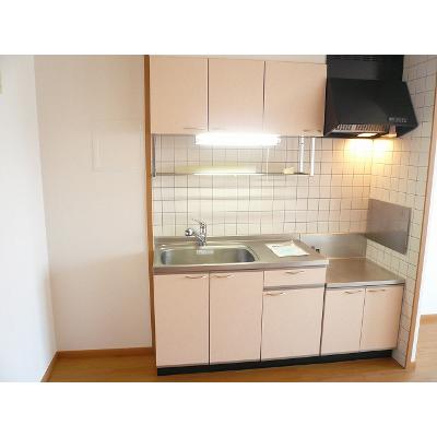 サンスプリング 201【管理NO：1-011824001-02010】 ★家具家電は申し込み後に搬入しますの物件画像
