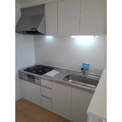 ＬＵＣＥ　Ⅱ 203【管理NO：1-024039702-02030】 ★家具家電は申し込み後に搬入しますの物件画像