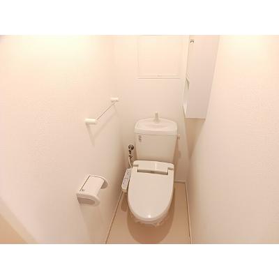リバーサイド・グラースＴ 203【管理NO：1-017338602-02030】の物件画像