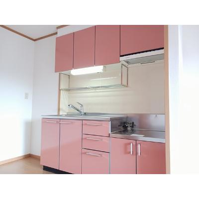 コリ－ヌ華Ⅱ 203【管理NO：1-012976702-02030】 ★家具家電は申し込み後に搬入しますの物件画像