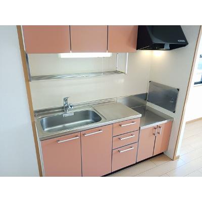 コリ－ヌ華Ⅰ 202【管理NO：1-012976701-02020】 ★家具家電は申し込み後に搬入しますの物件画像
