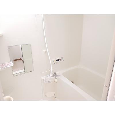 アドバンス銀河の森Ⅱ 202【管理NO：1-011495302-02020】 ★家具家電は申し込み後に搬入しますの物件画像
