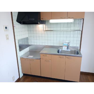 アベニ－ルロミオ 502【管理NO：1-010464701-05020】 ★家具家電は申し込み後に搬入しますの物件画像