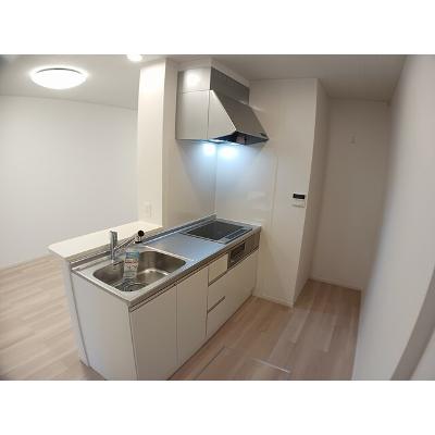 ファイン　アイランド　スズ 103【管理NO：1-028456001-01030】 ★家具家電は申し込み後に搬入します★の物件画像