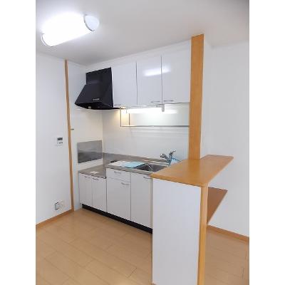Ｙ’ｓコート壱番館　Ⅲ 203【管理NO：1-014698103-02030】 ★家具家電は申し込み後に搬入します 2026年08月中旬入居可能の物件画像