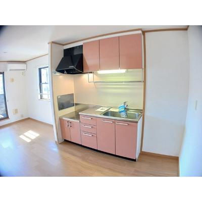 グリーンヒルズ姶良Ｃ 201【管理NO：1-013049303-02010】 ★家具家電は申し込み後に搬入しますの物件画像