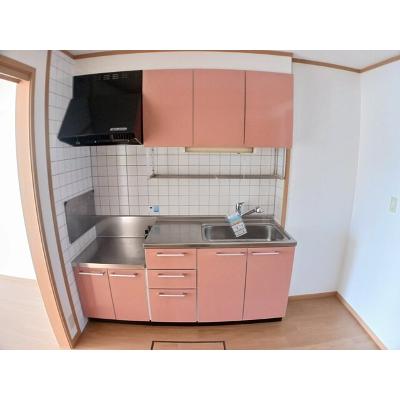 レイベルポート松元Ａ棟 103【管理NO：1-012307301-01030】 ★家具家電は申し込み後に搬入します★の物件画像