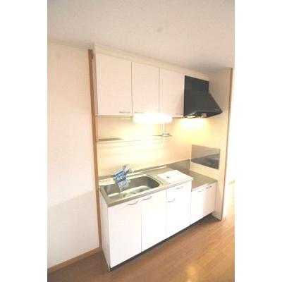 サンリットＭ．ｓ 203【管理NO：1-014212201-02030】 ★家具家電は申し込み後に搬入しますの物件画像