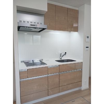カメリヤウッド 101【管理NO：1-028048501-01010】 ★家具家電は申し込み後に搬入しますの物件画像