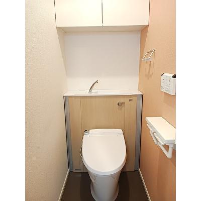 メゾン・ド・ラペ 302【管理NO：1-025290001-03020】 ★家具家電は申し込み後に搬入しますの物件画像