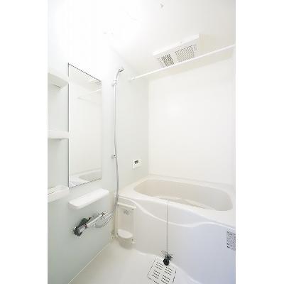 カーサカメリアⅦ 102【管理NO：1-022871701-01020】 ★家具家電は申し込み後に搬入します★の物件画像