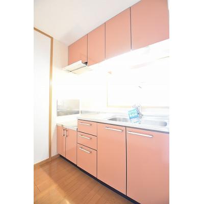 メゾン・デスパシオ 202【管理NO：1-013261801-02020】 ★家具家電は申し込み後に搬入します★の物件画像