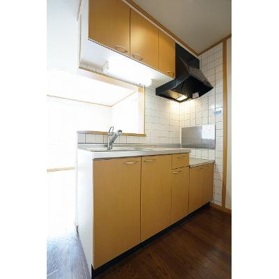 華（フラワー） 203【管理NO：1-011685001-02030】 ★家具家電は申し込み後に搬入します★の物件画像