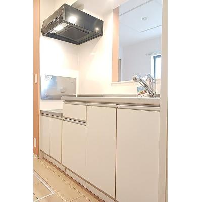 クリスタル・イリーデ 105【管理NO：1-021503601-01040】 ★家具家電は申し込み後に搬入します★の物件画像