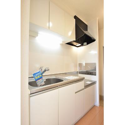 フェレーネＫ・Ⅱ 103【管理NO：1-020546601-01030】 ★家具家電は申し込み後に搬入します★の物件画像