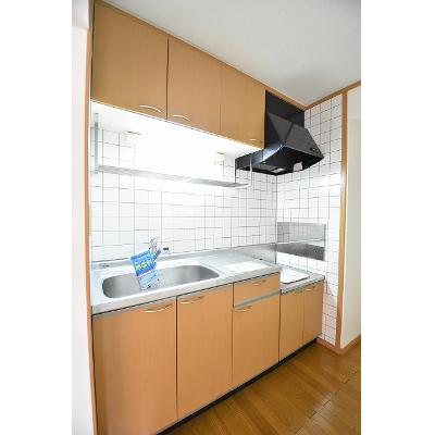 フォンテーヌ 103【管理NO：1-012049401-01030】 ★家具家電は申し込み後に搬入します★の物件画像