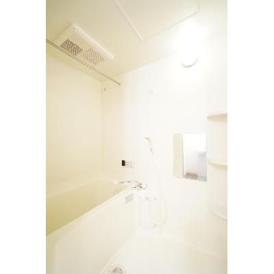 レジーナ２２ 202【管理NO：1-011903001-02020】 ★家具家電は申し込み後に搬入します★の物件画像