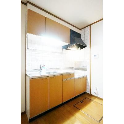 ソレアードプラーサⅤ 102【管理NO：1-010929202-01020】 ★家具家電は申し込み後に搬入します★の物件画像