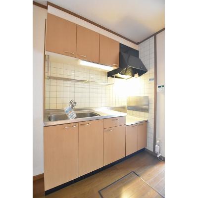 エクセラン・パレス 105【管理NO：1-010757801-01040】 ★家具家電は申し込み後に搬入します★の物件画像