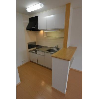 ＡＬＢＡ　Ｃ 202【管理NO：1-015962003-02020】 ★家具家電は申し込み後に搬入しますの物件画像
