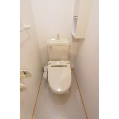 ＡＬＢＡ　Ｃ 202【管理NO：1-015962003-02020】 ★家具家電は申し込み後に搬入しますの物件画像