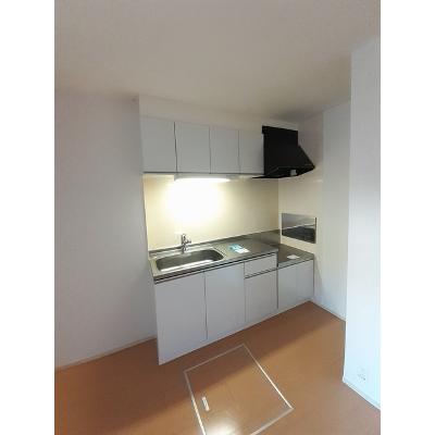エレガンス・イリーデⅡ 103【管理NO：1-018582902-01030】 ★家具家電は申し込み後に搬入しますの物件画像