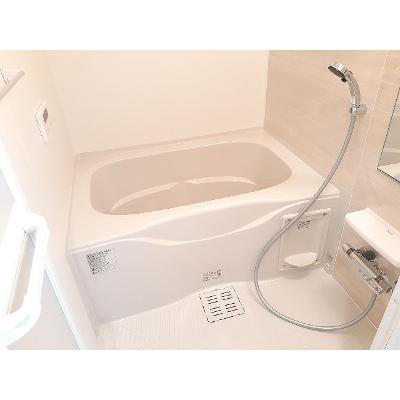 ラナンキュラスⅡ 301【管理NO：1-026294601-03010】 ★家具家電は申し込み後に搬入しますの物件画像