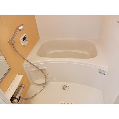 ベル・カーサ 202【管理NO：1-022176201-02020】 ★家具家電は申し込み後に搬入しますの物件画像