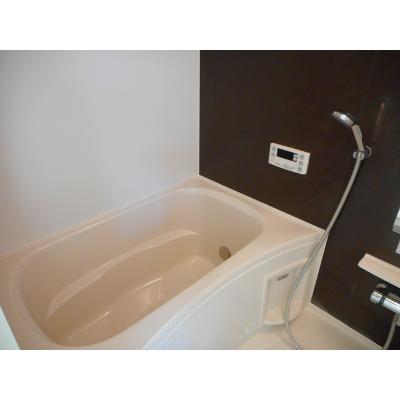 シェモア角割 202【管理NO：1-021831501-02020】 ★家具家電は申し込み後に搬入しますの物件画像