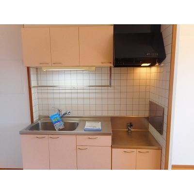 サザンウィンド　ＰａｒｔⅥ 202【管理NO：1-011204501-02020】 2026年07月下旬入居可能の物件画像