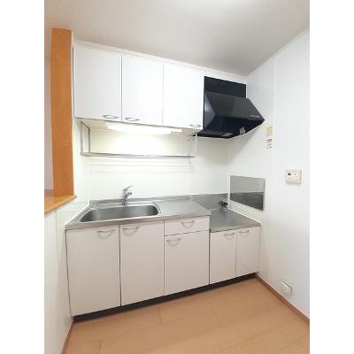 グランツ　グリューン 201【管理NO：1-014725201-02010】 ★家具家電は申し込み後に搬入しますの物件画像