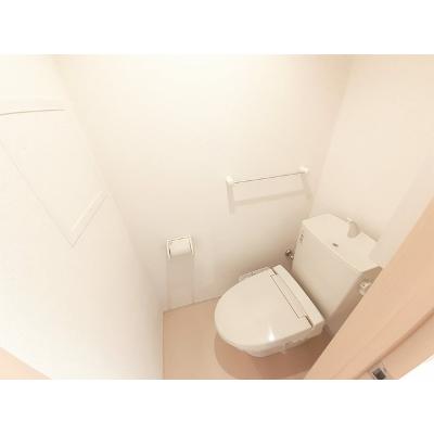 Ｋ＆ＭⅣ 205【管理NO：1-020509201-02040】 2026年08月中旬入居可能の物件画像