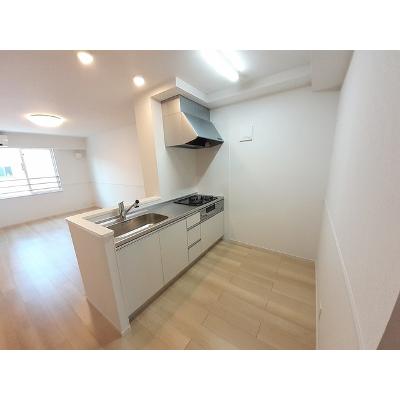 ラピス・アーテル 205【管理NO：1-026963001-02050】 ★家具家電は申し込み後に搬入します 2026年07月下旬入居可能の物件画像