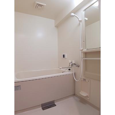 アクシスコート 302【管理NO：1-007701401-03020】 ★家具家電は申し込み後に搬入します★の物件画像