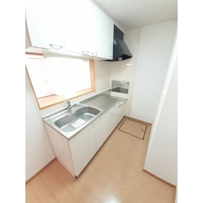 サンライズＣ 101【管理NO：1-014659502-01010】 2026年07月下旬入居可能の物件画像