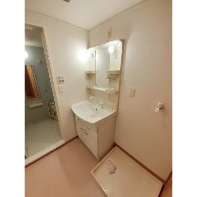 サンライズＣ 101【管理NO：1-014659502-01010】 2026年07月下旬入居可能の物件画像